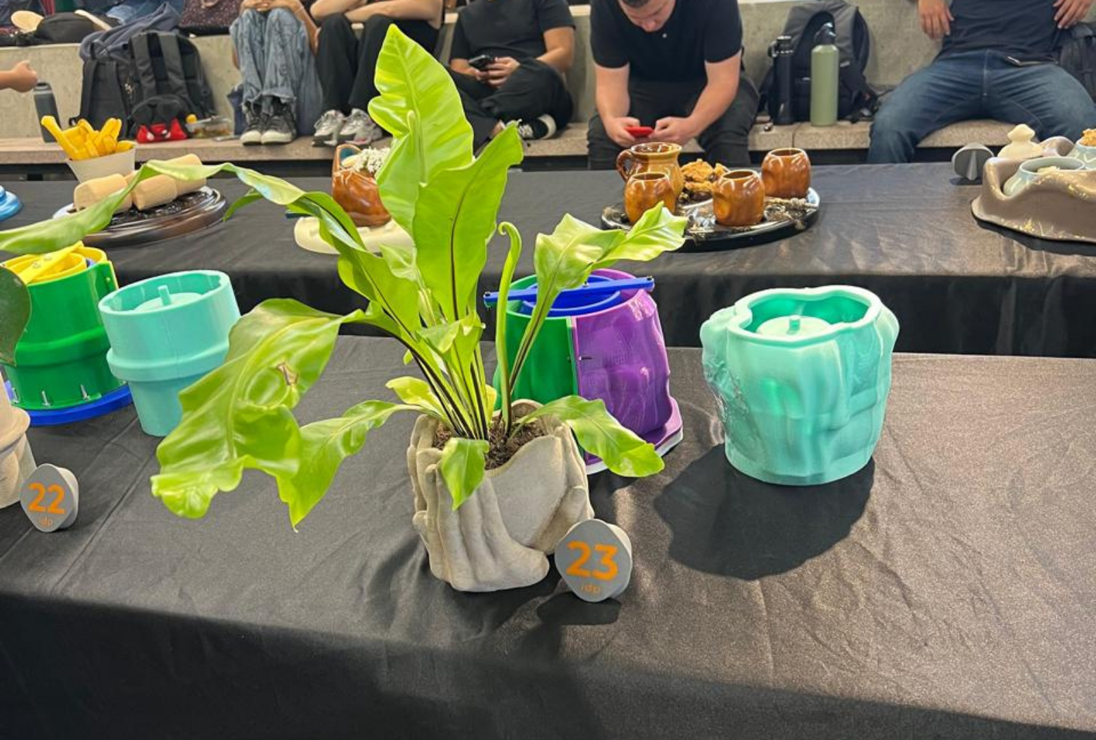 La maceta terminada con una planta, presentada en la feria de proyectos