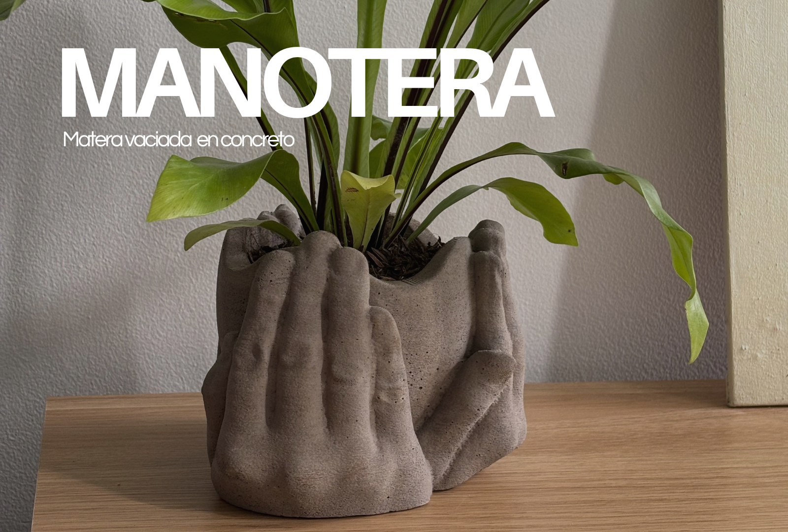 Proyecto Maceta — Manos en concreto